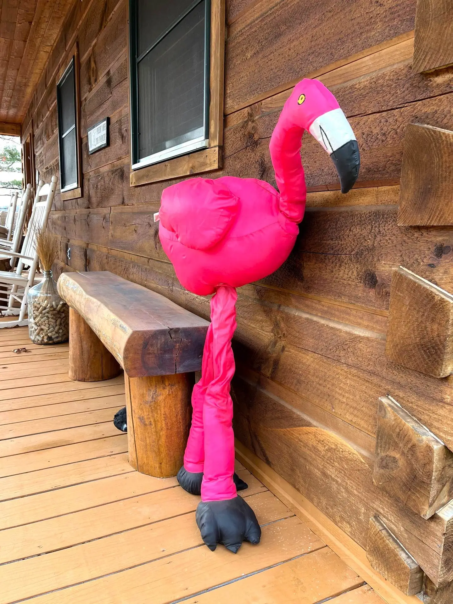 flamingo