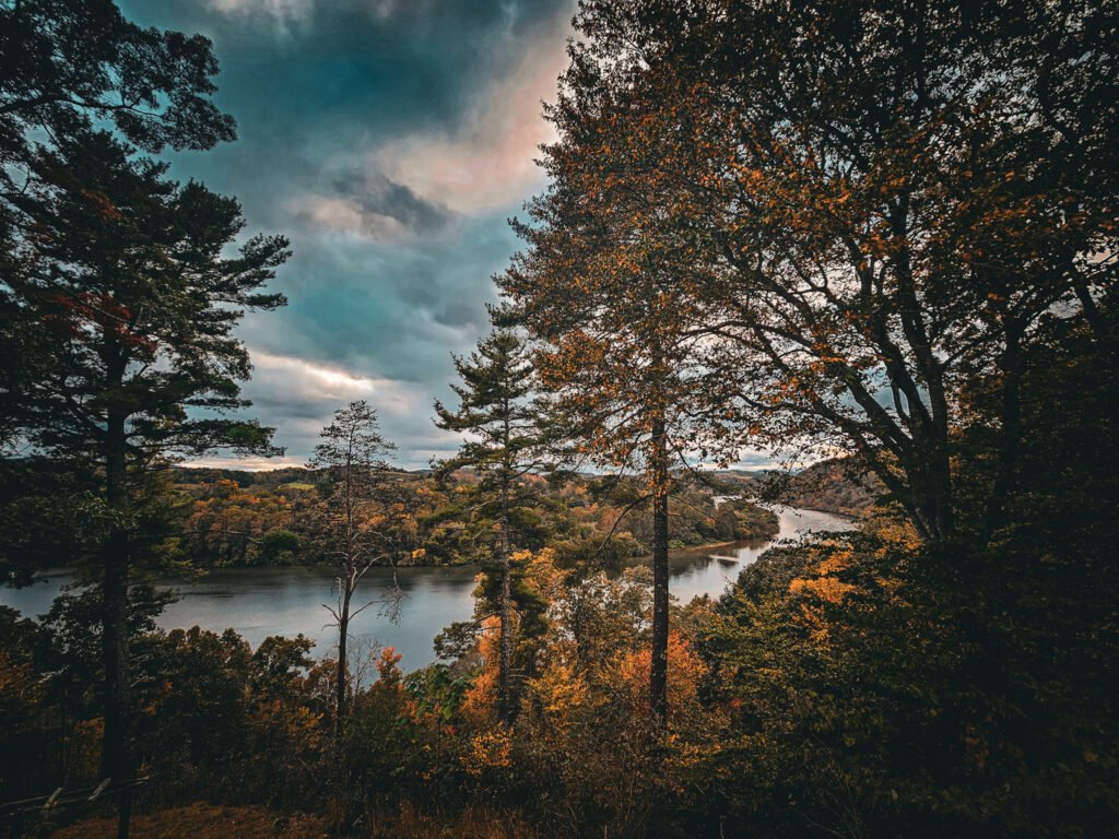 cabin deck view